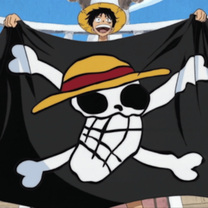 Crew pirate flag