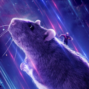 The Rat – Avengers Endgame