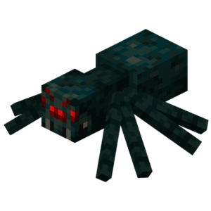 Venomous Spider