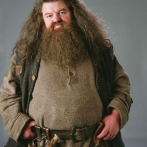 Rubeus Hagrid – Care of Magical Creatures Professor