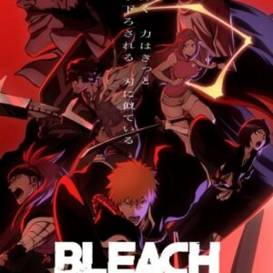 Bleach – Season Finale